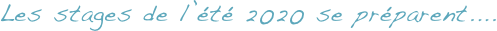Les stages de l’été 2020 se préparent....